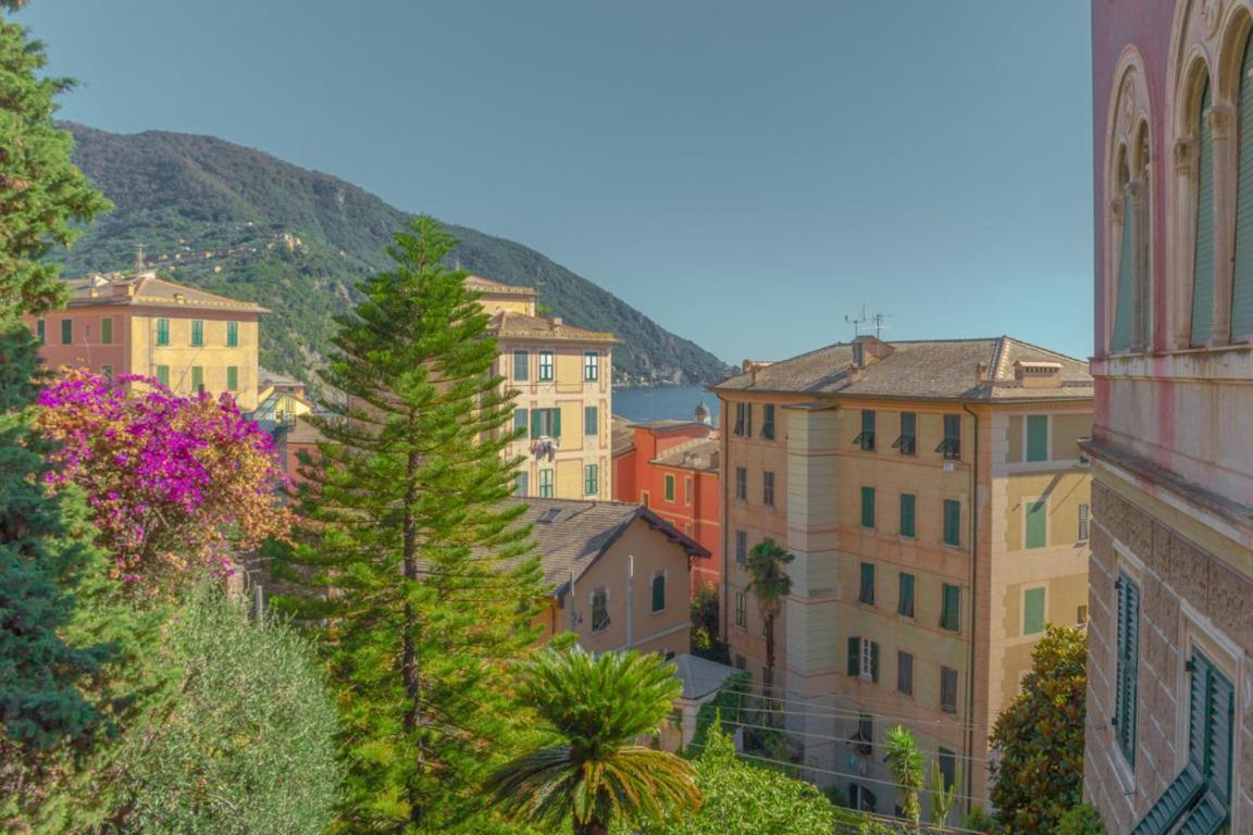カモーリCasa Carlotta Tranquillita Con Vista Mareアパートメント エクステリア 写真
